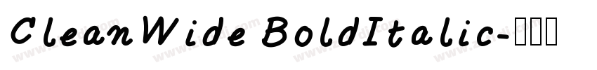 CleanWide BoldItalic字体转换